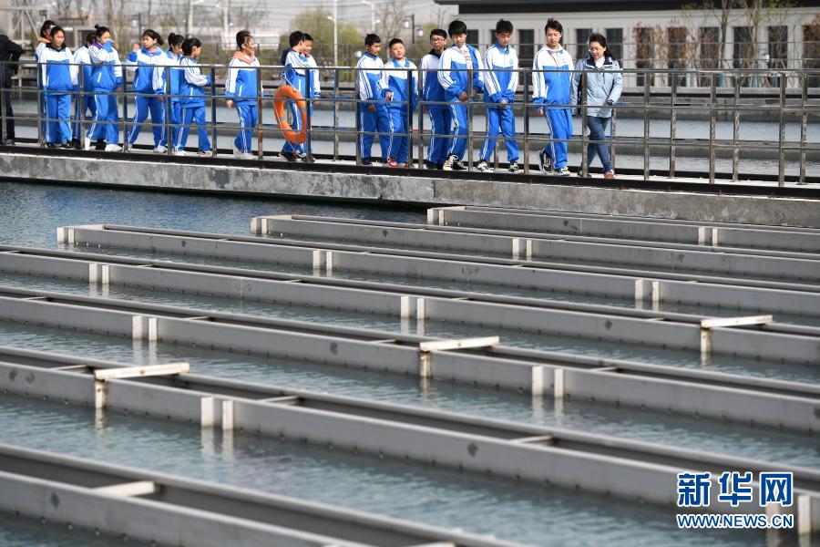 世界水日|合肥市中学开展主题为“珍惜水爱护水”活动