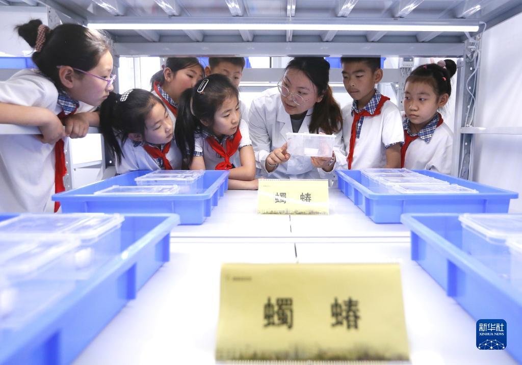 “科普课堂”感受生物多样性