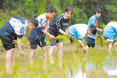 田野课堂 感受农耕