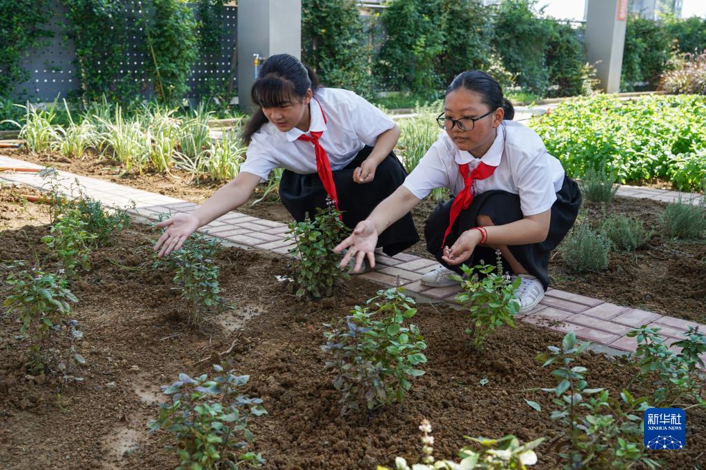 安徽合肥：劳动点亮毕业季