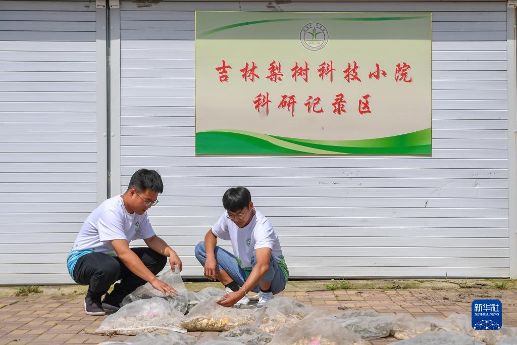 黑土地上的别样暑假