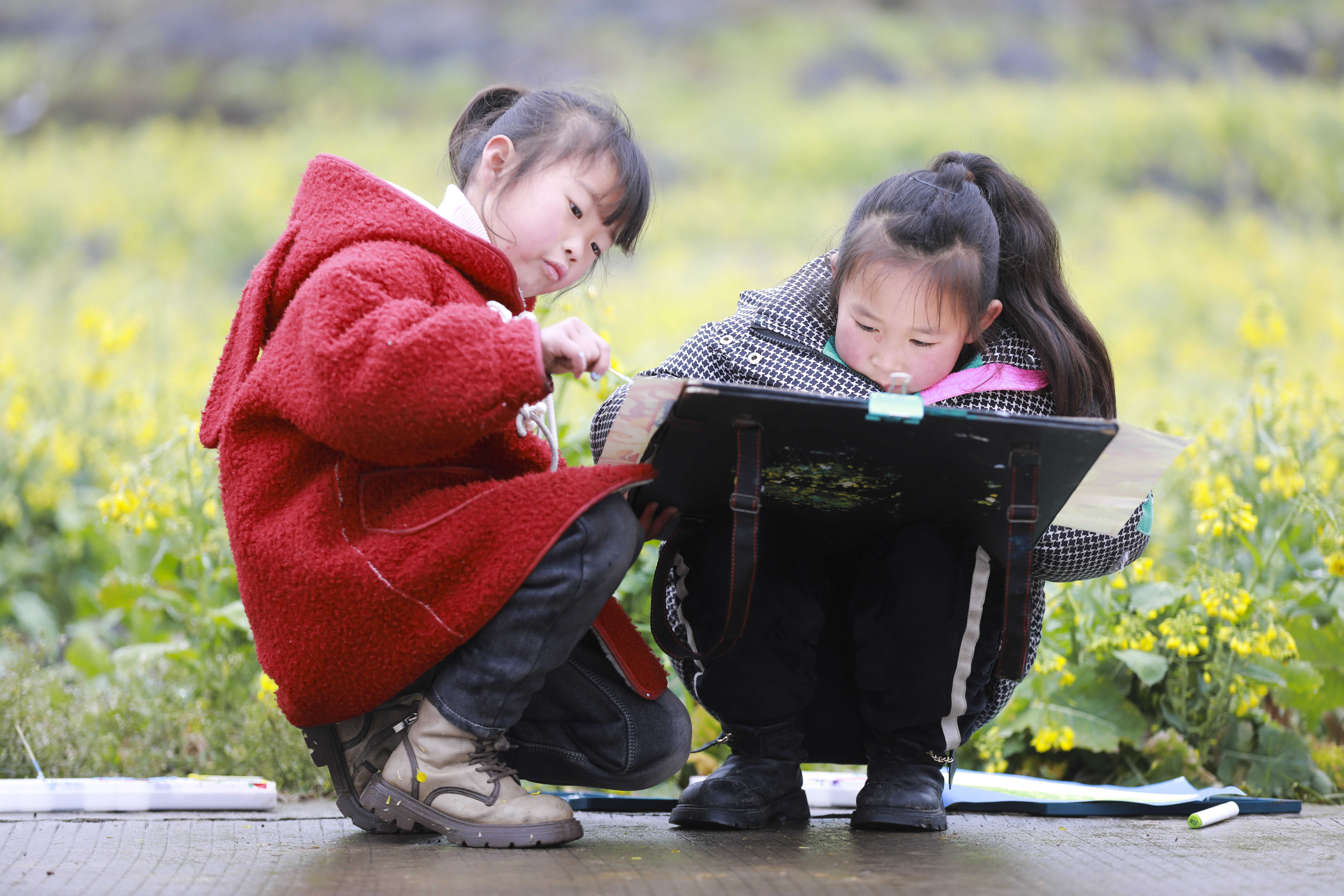 贵州黔西：花海写生绘春光