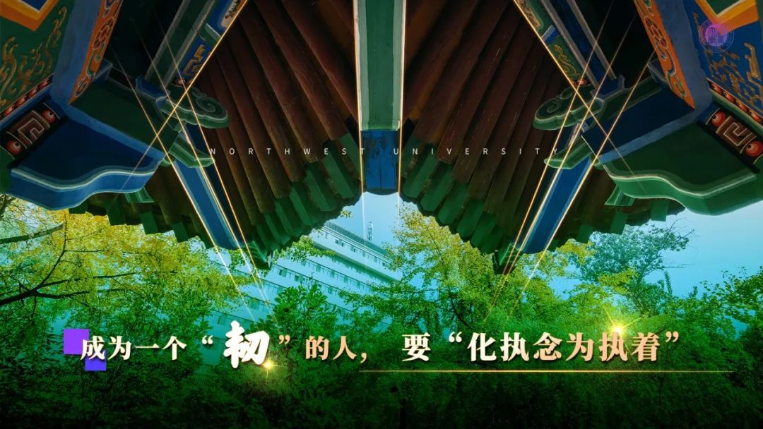 西北大学校长孙庆伟在2024年毕业典礼上的致辞：每一个“韧”的人都会被看见