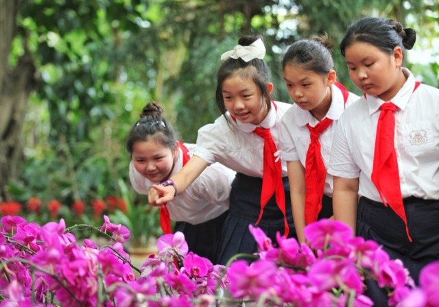 观赏植物 乐享暑假