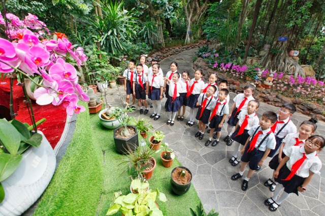 观赏植物 乐享暑假