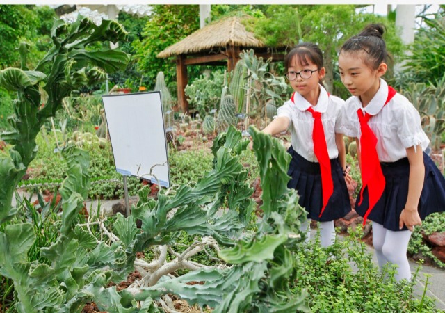 观赏植物 乐享暑假
