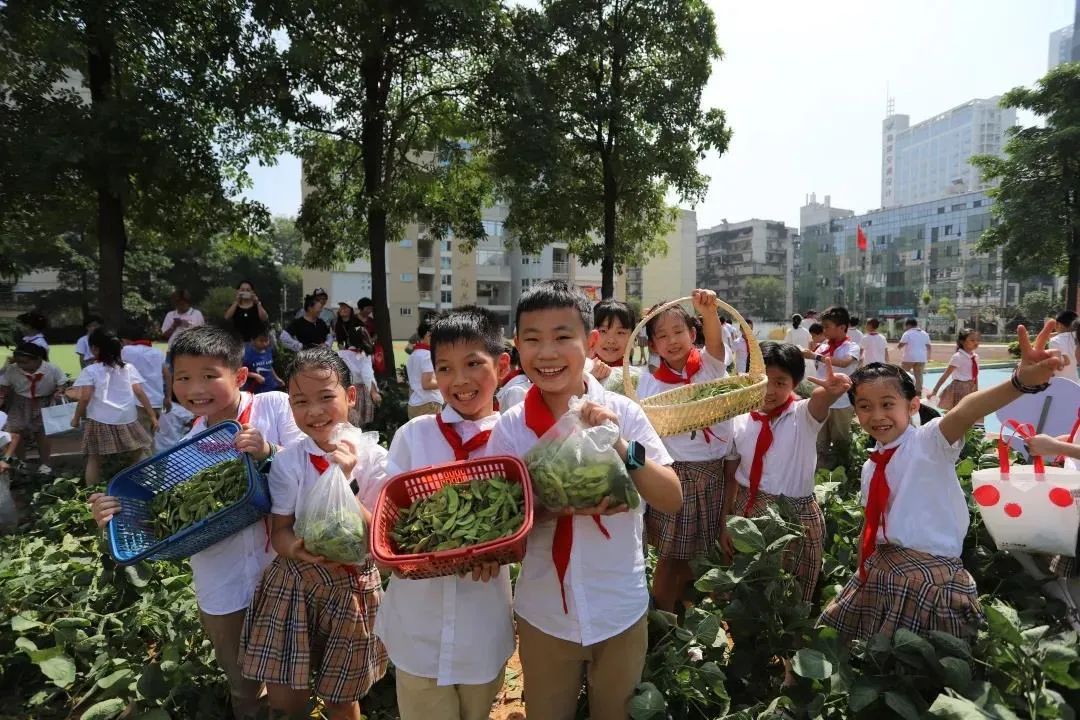 福建：以改革激活职教“一池春水” | 各地教育成就巡礼