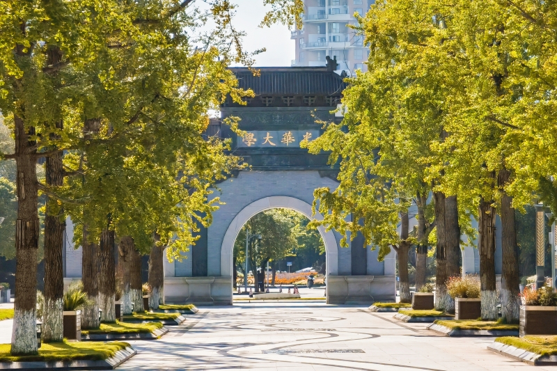 秋日限定！大学校园“氛围大片”上新……