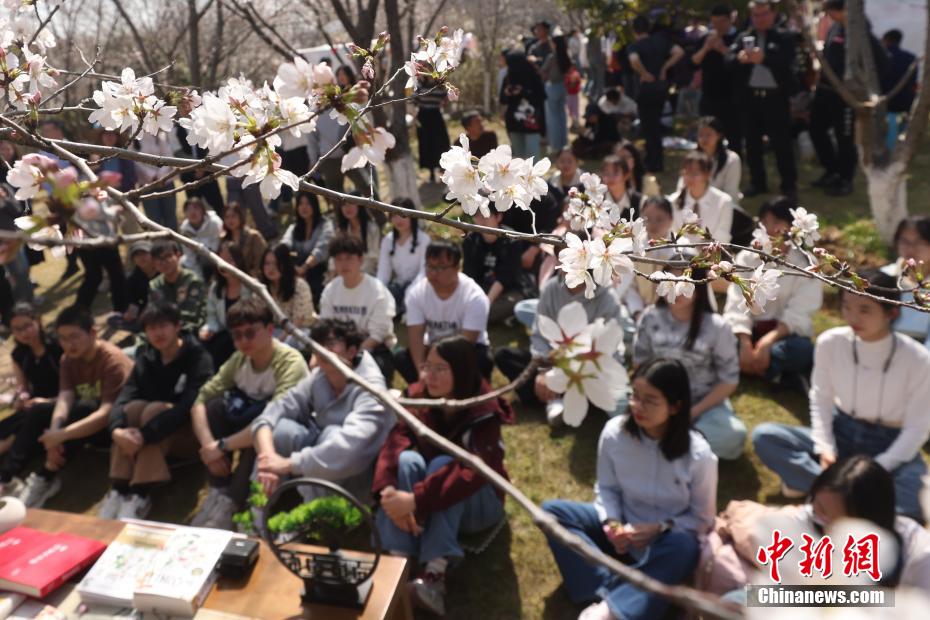 中国药科大学樱花满园 师生走入其间“绘制”春日画卷
