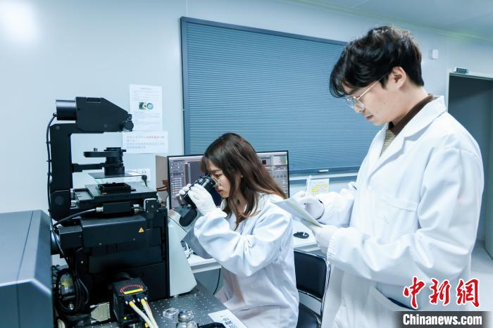 青年博士的科研路：在深耕中凝练方向 在思辨中突破桎梏