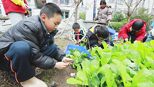 福建“护苗学堂”：快乐小课堂 成长加油站