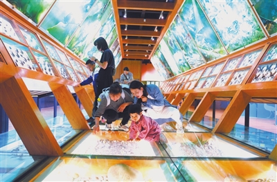 这堂课去博物馆上