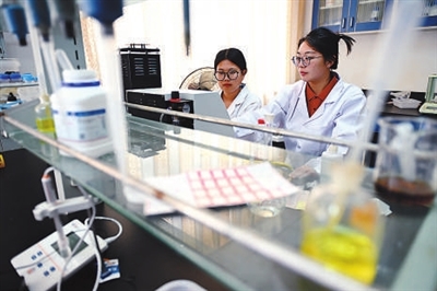 科技小院忙“三夏”