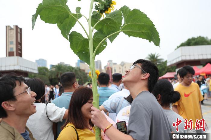 全国多地高考落下帷幕家长“花式”迎接考生