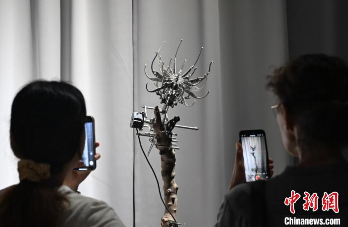 现代机械融合传统文化 中国美院多件毕业作品成“网红” 现代机械融合传统文化中国美院多件毕业作品成“网红”