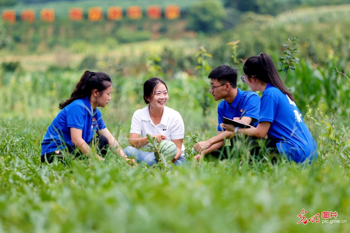直播助农、健康义诊、扮靓街巷……青年学子暑期返乡服务桑梓