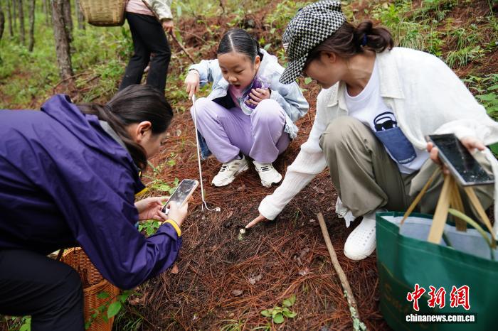 云南娃进山体验拣菌乐享别样暑期