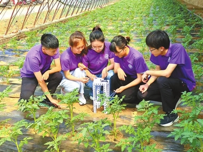 答好“爱国三问” 耕耘乡村沃野 答好“爱国三问” 耕耘乡村沃野