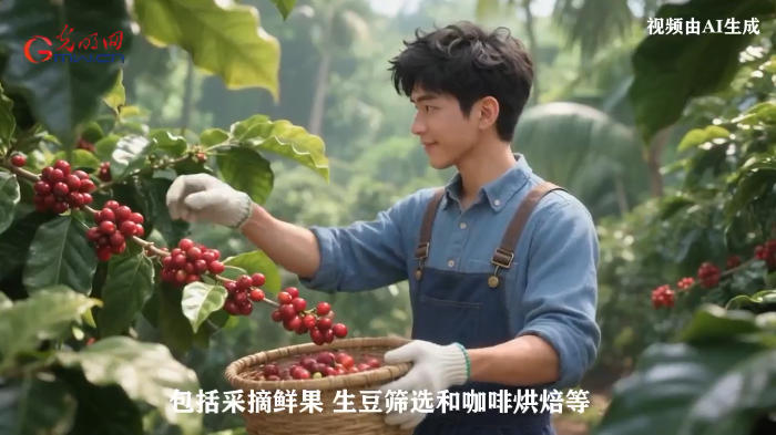 【职引未来·新职业图鉴】从产地到杯中，新工种串联咖啡产业链，引领“中国味道”创新