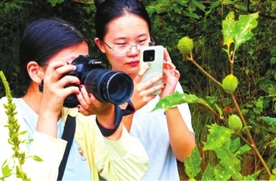 走，上山采药去！