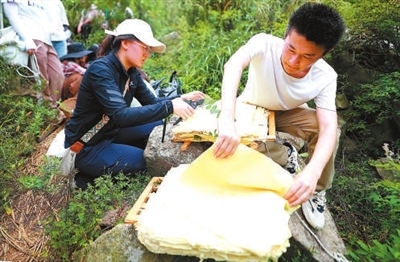 走，上山采药去！