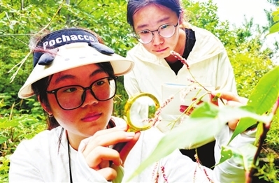 走，上山采药去！