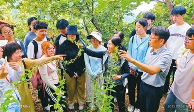 走，上山采药去！