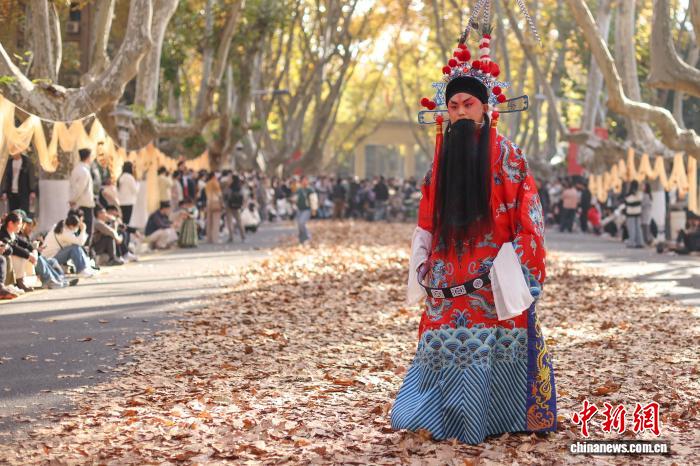 东南大学最美200米落叶景观华丽“上线”