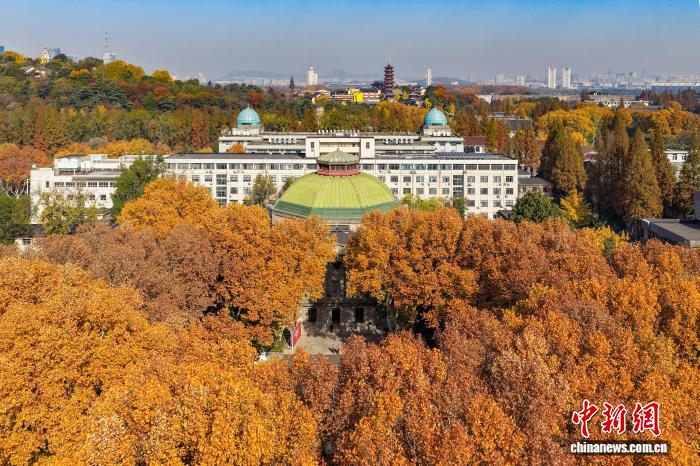 东南大学最美200米落叶景观华丽“上线”