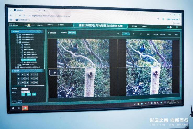 数智技术绘就彩云之南新图景