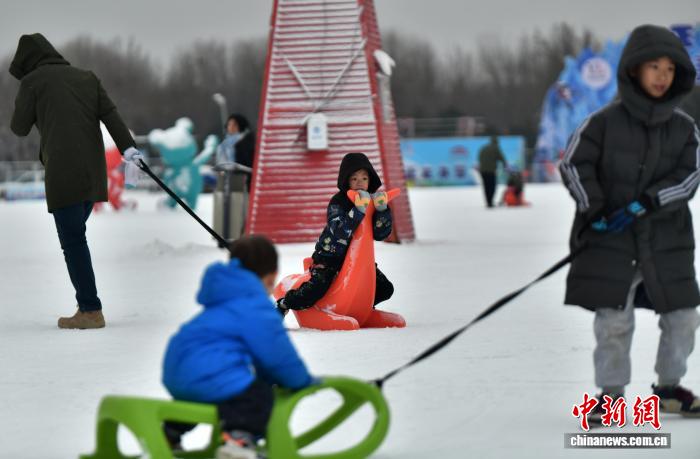 雪飘石家庄 民众乐享冬日雪趣