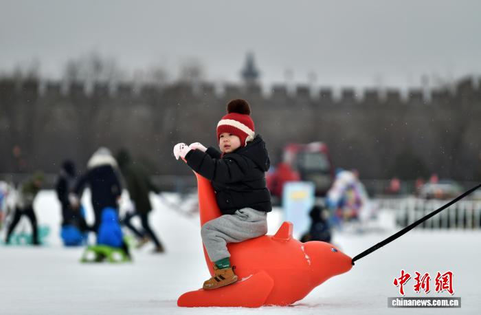 雪飘石家庄 民众乐享冬日雪趣