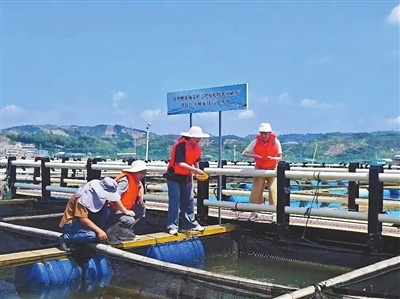 昂起高教龙头 勇闯综改新路 昂起高教龙头 勇闯综改新路