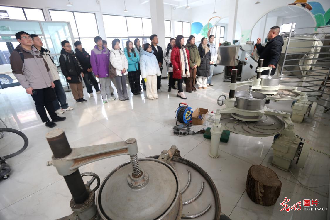 【职引未来】广搭平台 精培技能 力促青年就业创业