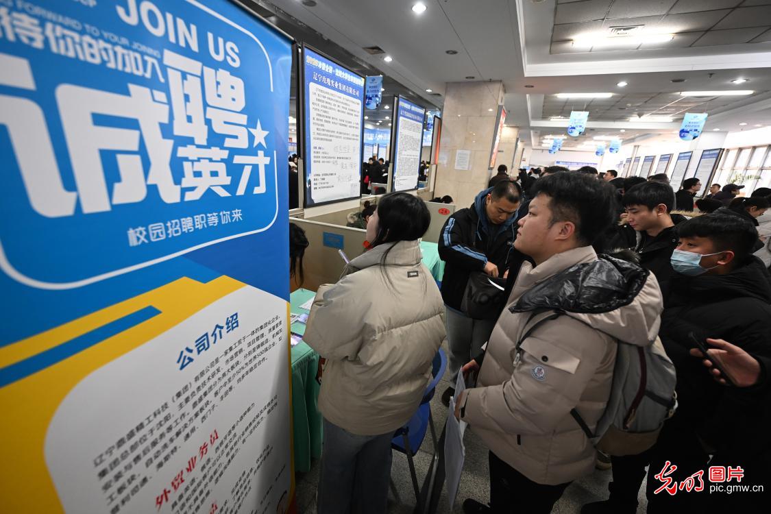 【职引未来】广搭平台 精培技能 力促青年就业创业