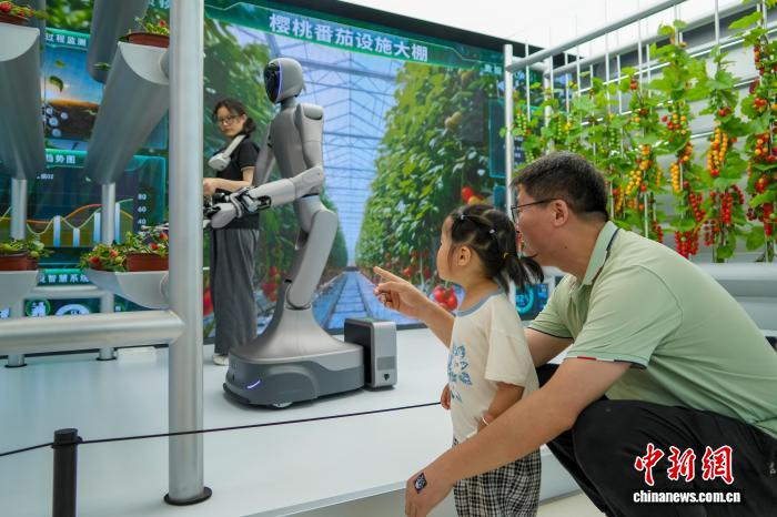 儿童近距离感受人形机器人魅力