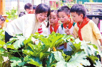 学农事 迎芒种