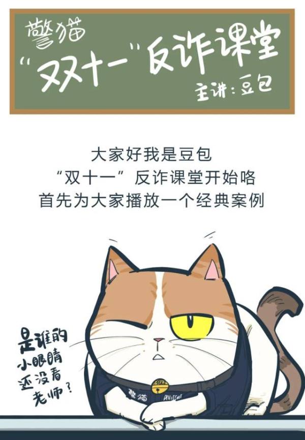 警猫“双十一”反诈课堂来了！