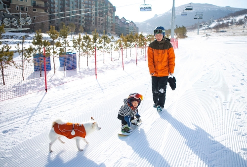 不会走路就能滑雪！火爆全网的中国萌宝是谁