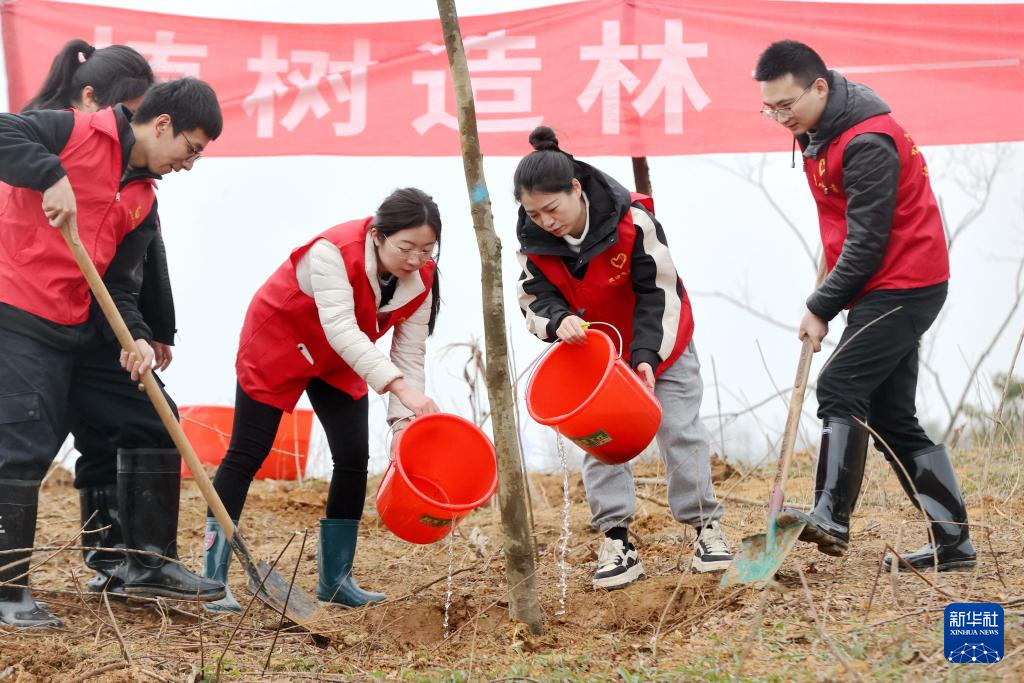 迎接植树节