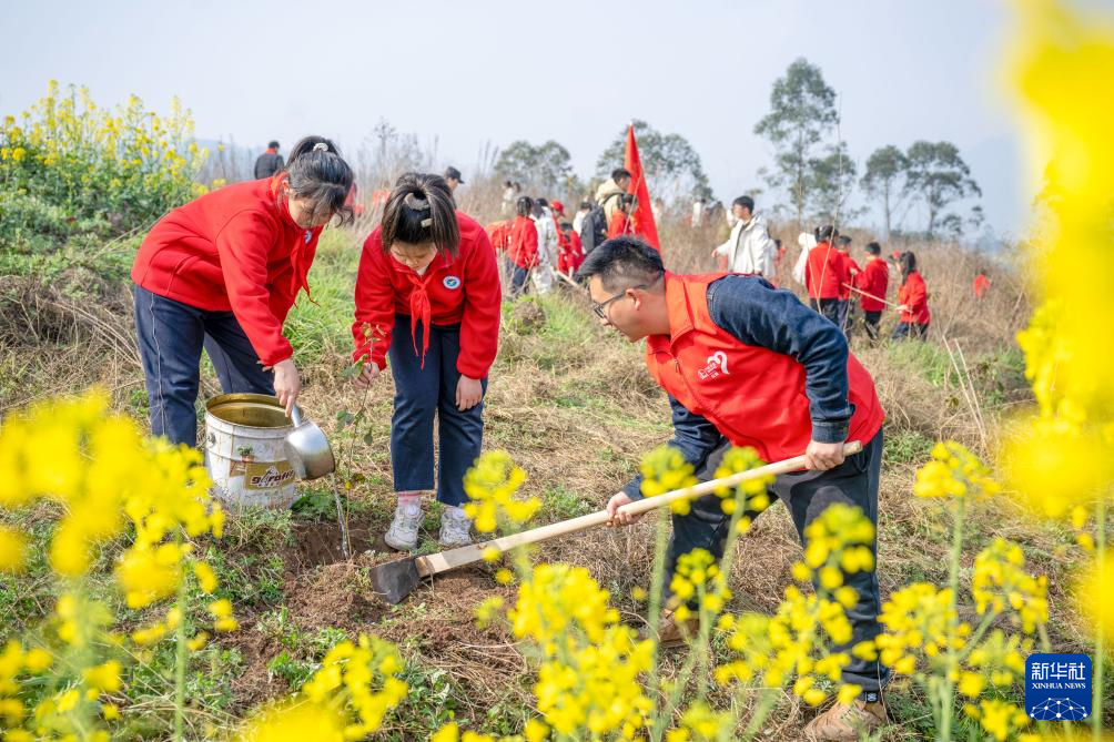 迎接植树节