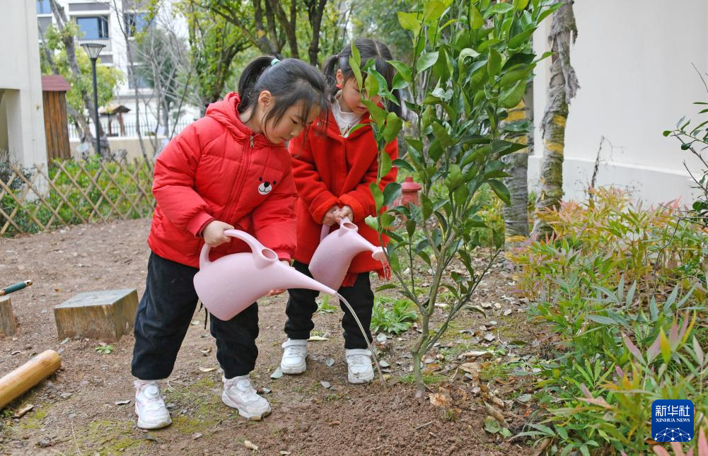 迎接植树节