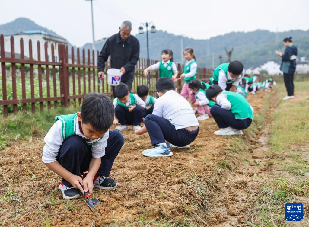 浙江诸暨:研学游激发古村新活力