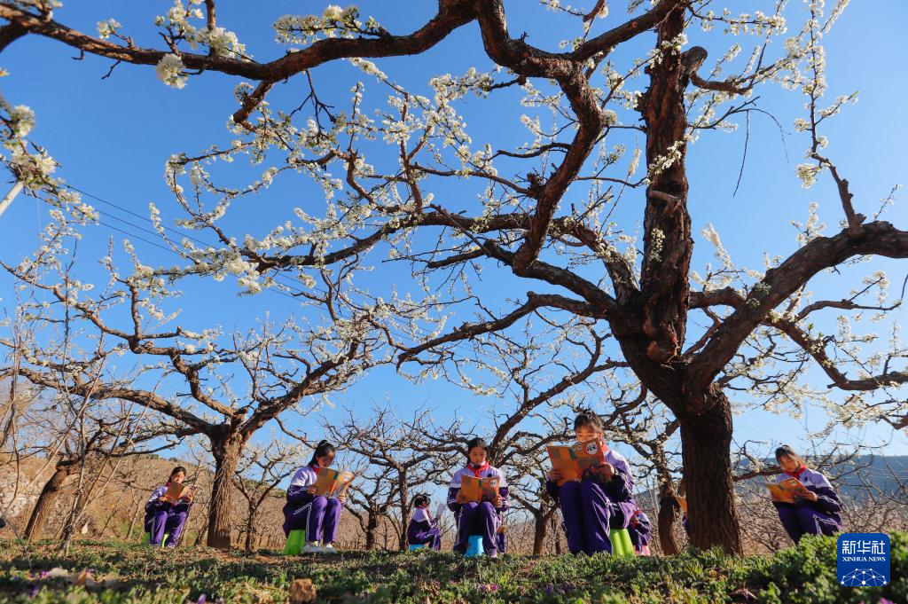 享受阅读 快乐成长