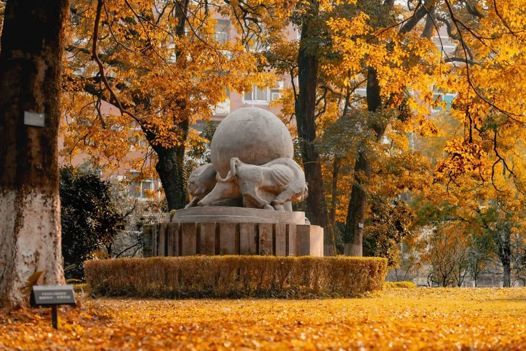 还得是,中国科学技术大学! 图片