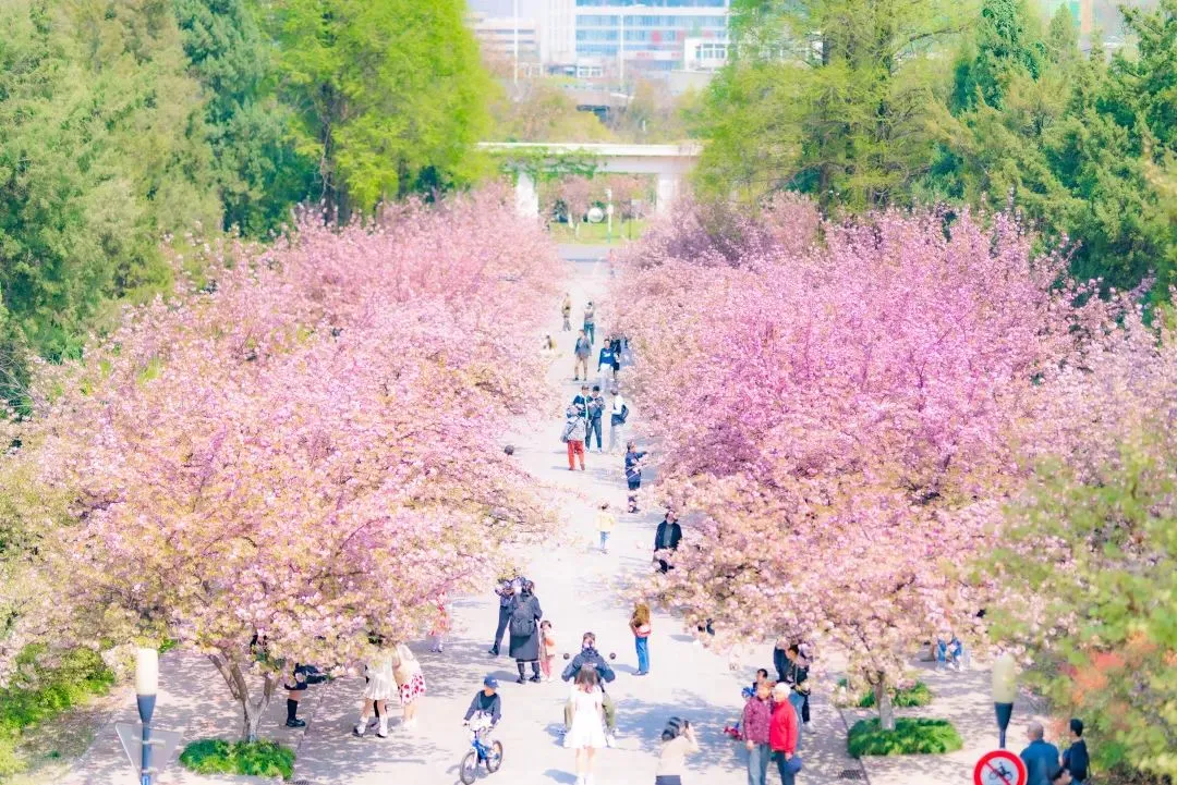还得是,中国科学技术大学! 图片